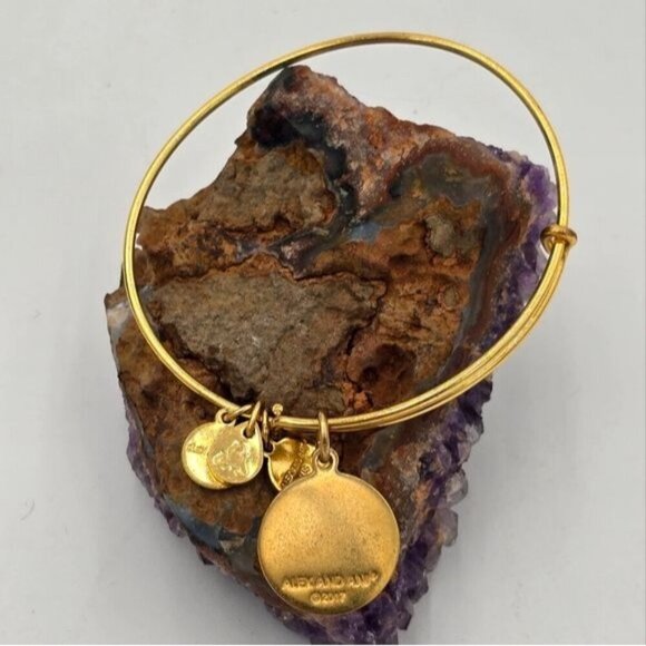 Alex and Ani 'Let's Toast' Gold Tone Bangle Charm Bracelet Celebration Jewelry - Picture 4 of 4